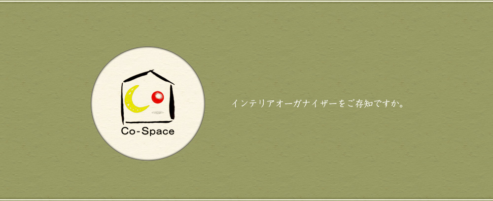 Co-Space